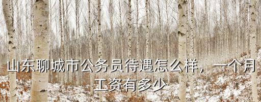 山東聊城市公務員待遇怎么樣，一個月工資有多少