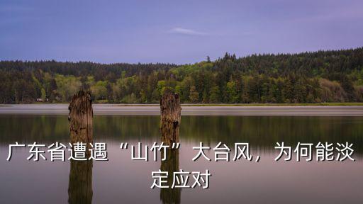 臺風山竹登廣東怎么樣了,臺風山竹過后