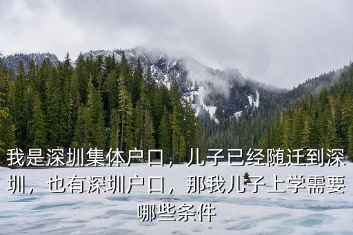 我是深圳集體戶口，兒子已經隨遷到深圳，也有深圳戶口，那我兒子上學需要哪些條件