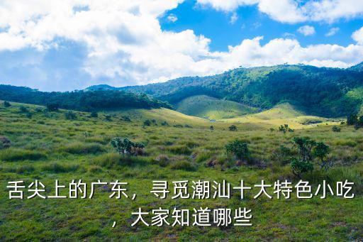 舌尖上的廣東，尋覓潮汕十大特色小吃，大家知道哪些