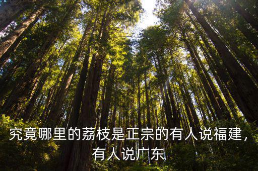 究竟哪里的荔枝是正宗的有人說福建，有人說廣東