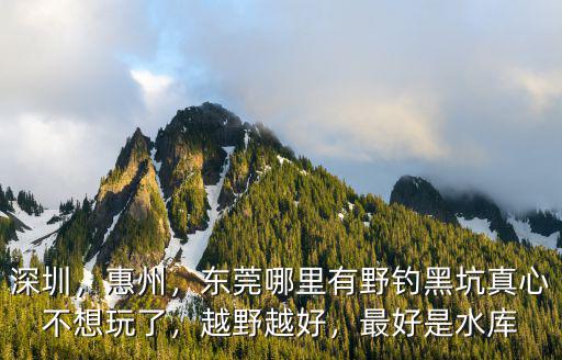 深圳野釣哪里水質好大頭魚多,東莞哪里有野釣