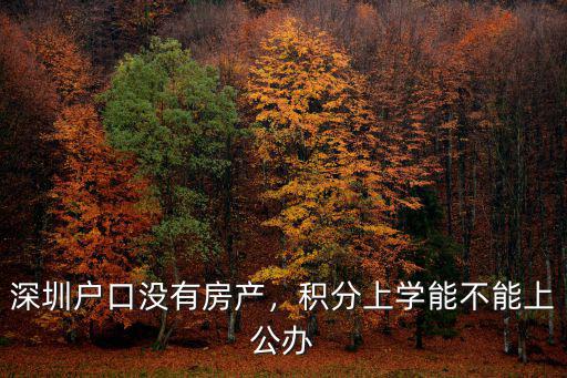 深圳戶口沒(méi)有房產(chǎn)，積分上學(xué)能不能上公辦