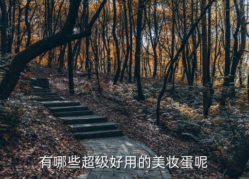 廣州哪里有賣RT美妝蛋的,有哪些超級好用的美妝蛋呢