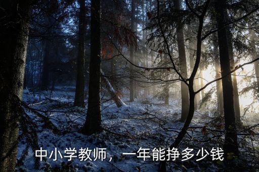 深圳做家教一年能掙多少錢,一年能掙多少錢