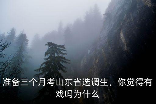 考山東省的選調(diào)生多少分能錄取,準備三個月考山東省選調(diào)生