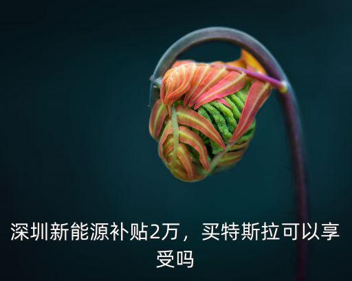 深圳買新能源汽車補貼多少,去深圳買新能源車的補貼大嗎