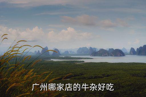 廣東哪里的牛雜好吃,廣州哪家店的牛雜好吃
