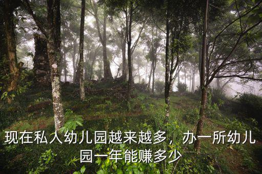 深圳幼兒園開辦多少錢,開個幼兒園大概要花多少錢
