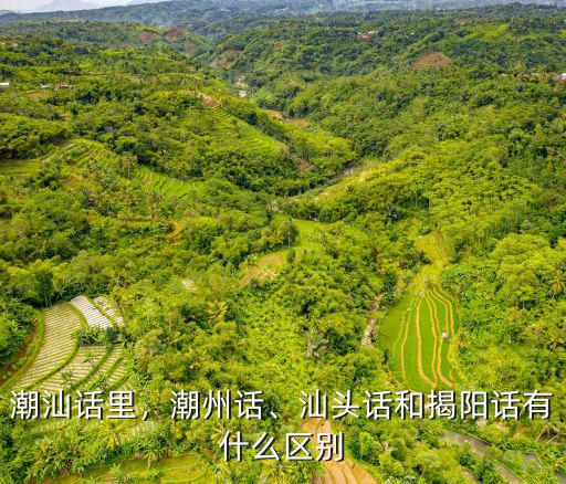 潮汕話里，潮州話、汕頭話和揭陽話有什么區別