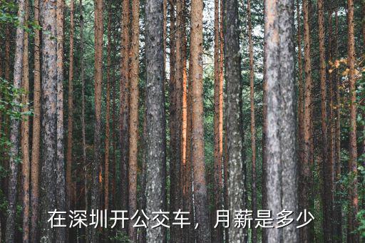 在深圳開公交車，月薪是多少