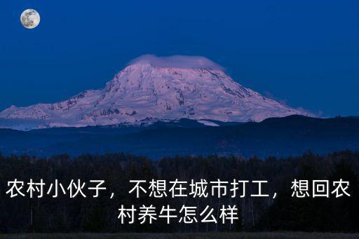深圳養牛生活怎么樣,現在離開深圳