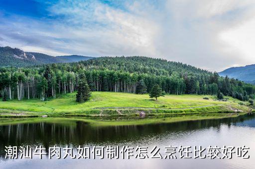 潮州牛肉丸怎么做好吃啊,潮州牛肉丸那么好吃
