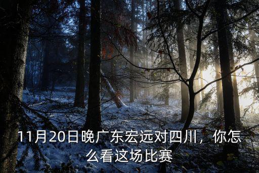 怎么看廣東宏遠(yuǎn)對(duì)鞏曉彬,廣東宏遠(yuǎn)艱難戰(zhàn)勝山東