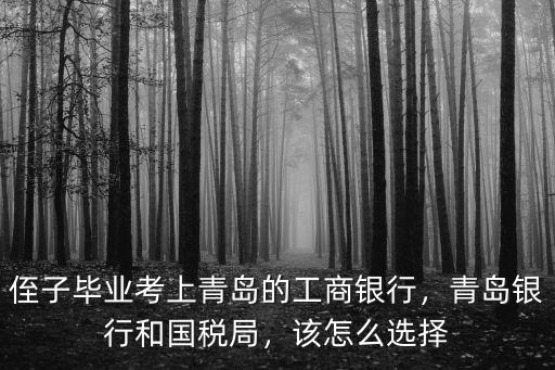 青島銀行一般招聘多少人,青島銀行和國稅局