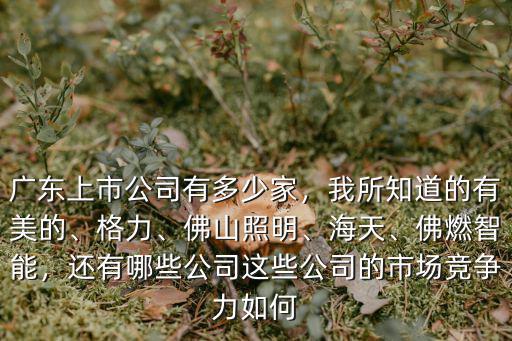 東莞上市公司有多少家,廣東上市公司有多少家