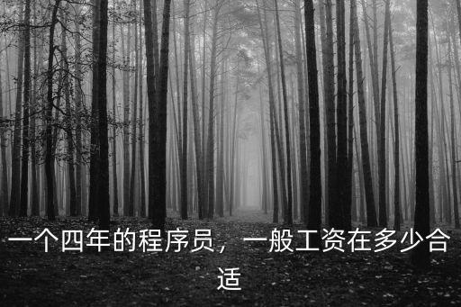 山東程序員一年收入多少,一個四年的程序員