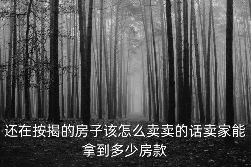 惠州還在還貸房子怎么賣,還在按揭的房子該怎么賣