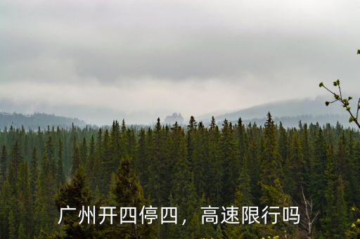 廣州轎車實行開四停四是怎么樣,廣州實施開四停四