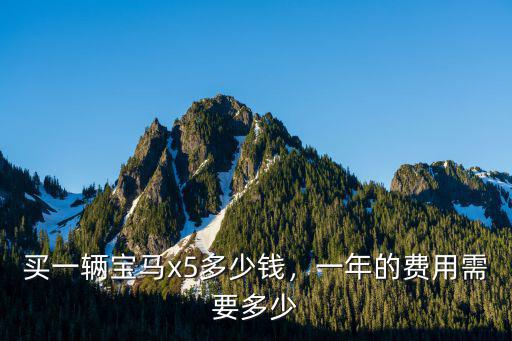 濟南二手寶馬叉一多少錢,買一輛寶馬x5多少錢