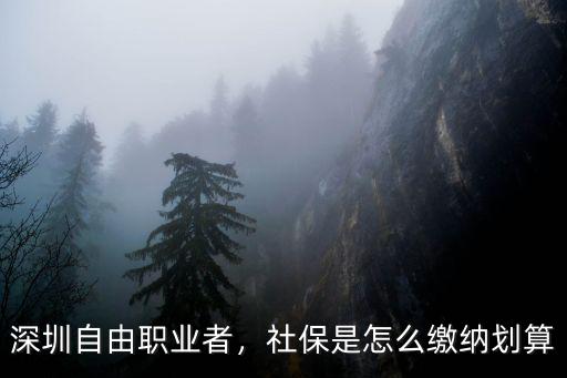 自由職業(yè)怎么交深圳社保,社保是怎么繳納劃算