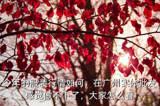 今年的服裝行情如何，在廣州實(shí)體批發(fā)感覺(jué)做不下了，大家怎么看