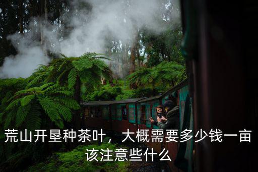 荒山開墾種茶葉，大概需要多少錢一畝該注意些什么