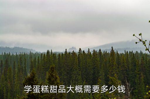 青島學甜點多少錢,學蛋糕甜品大概需要多少錢
