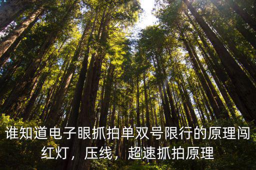 誰知道電子眼抓拍單雙號限行的原理闖紅燈，壓線，超速抓拍原理