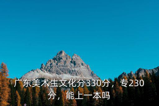 廣東美術生文化分330分，專230分，能上一本嗎