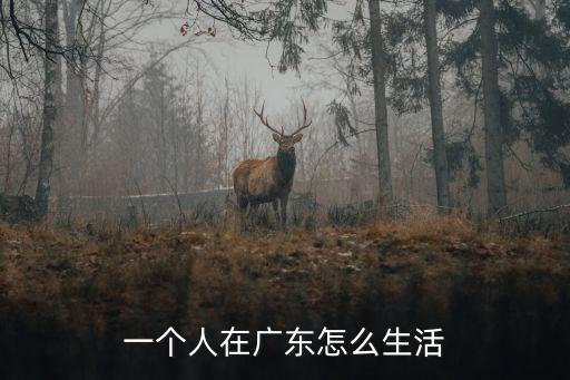 一個人在廣東怎么生活