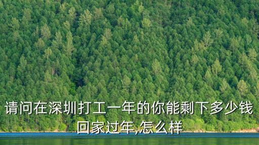 深圳賺一萬能剩多少,一個(gè)月能存多少錢