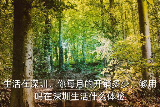 在深圳每月生活費多少,你每月的開銷多少