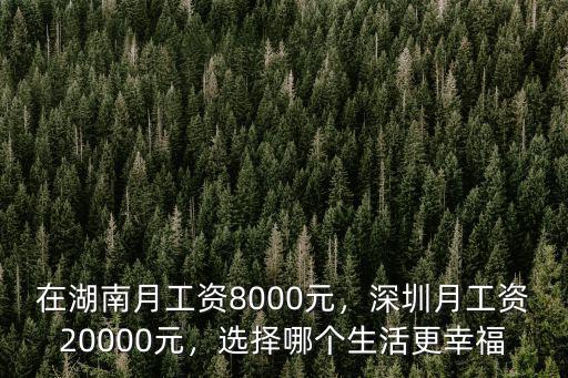 20000元工資深圳實收多少錢,在湖南月工資8000元