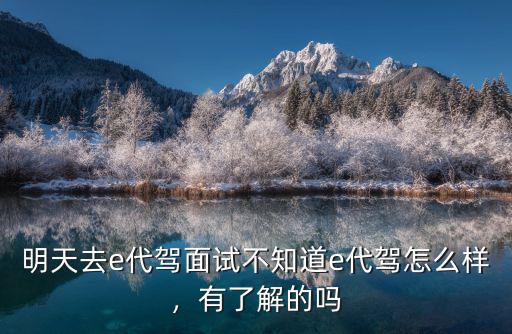 明天去e代駕面試不知道e代駕怎么樣，有了解的嗎