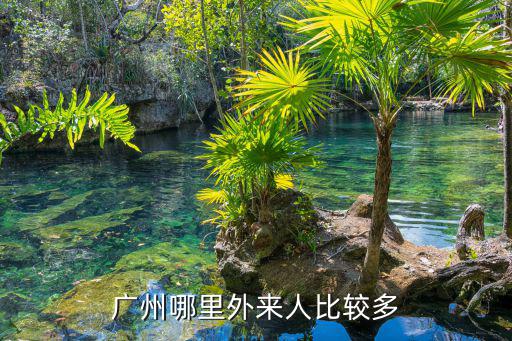 廣州哪里外來人比較多