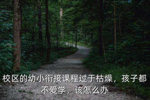 校區(qū)的幼小銜接課程過于枯燥，孩子都不愛學，該怎么辦