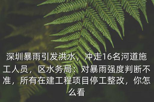 深圳在建工程項目有多少,深圳暴雨引發洪水