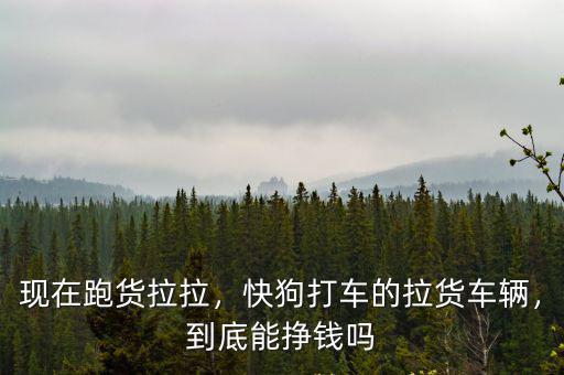 現(xiàn)在跑貨拉拉，快狗打車的拉貨車輛，到底能掙錢嗎