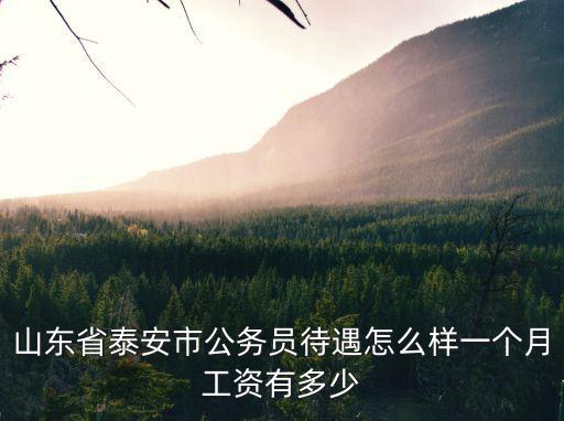山東省泰安市公務員待遇怎么樣一個月工資有多少