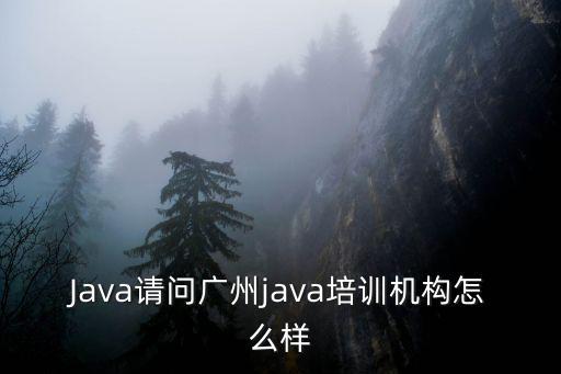 Java請問廣州java培訓機構怎么樣