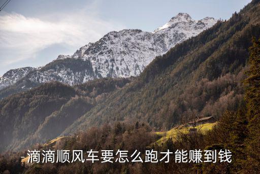 順風(fēng)車到湛江能賺多少錢,現(xiàn)在跑順風(fēng)車還能掙錢嗎