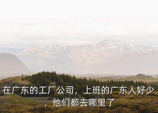 在廣東的工廠公司，上班的廣東人好少，他們都去哪里了