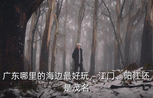 廣東江門陽江哪里好玩,廣東哪里的海邊最好玩