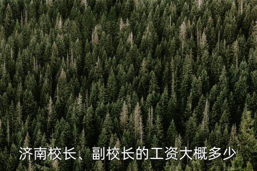 濟(jì)南德林教育老師工資多少,濟(jì)南小學(xué)老師工資待遇怎么樣