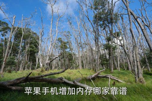 廣州哪里蘋果手機擴容靠譜,蘋果手機增加內存哪家靠譜