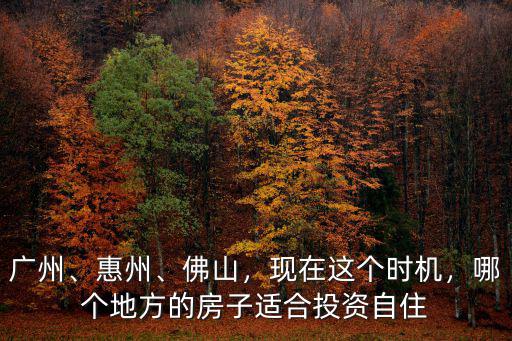 廣州、惠州、佛山，現在這個時機，哪個地方的房子適合投資自住
