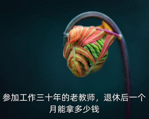 參加工作三十年的老教師，退休后一個月能拿多少錢