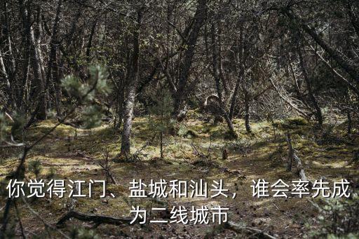 鹽城和陽江哪里好,廣東湛江和陽江哪里定居好呢