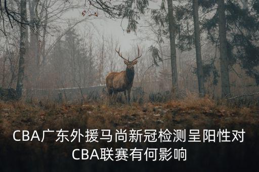 cba廣東外援馬尚是怎么回事,廣東外援馬尚是否還能回來